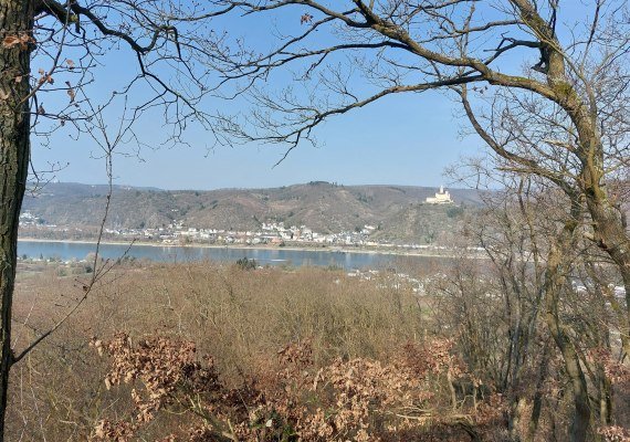 Ausblick Herbst | © Tourist-Information Erlebnis Rheinbogen