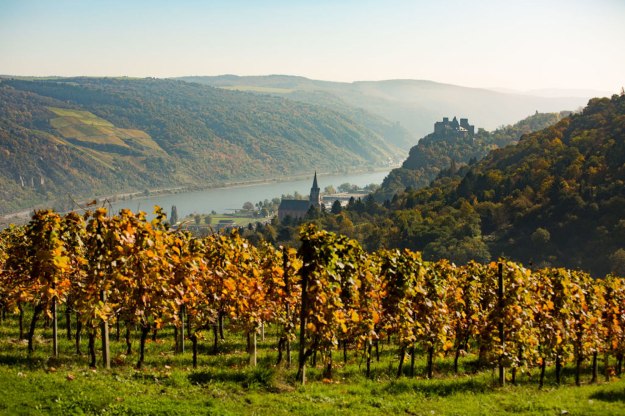 View of the autumnal Oberwesel | © Henry Tornow