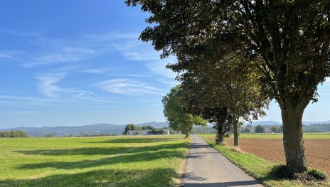 Remagen Rundwanderweg A2 - Auf Kirres | © Tourist-Information Remagen, Romantischer Rhein Tourismus GmbH