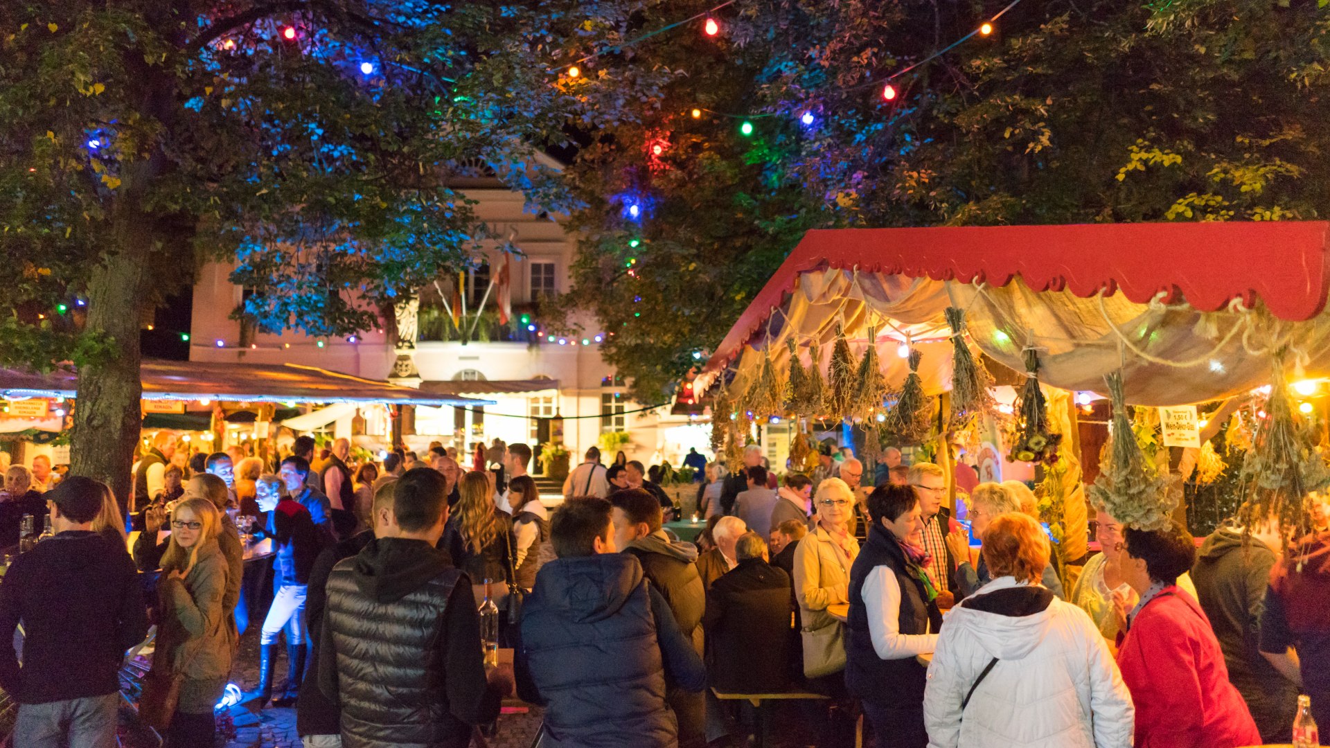 Wine festival in Remagen | © Luca Lamonte-Austin