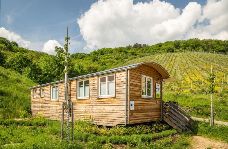 Verkaufswagen am Weingut | © Dominik Ketz