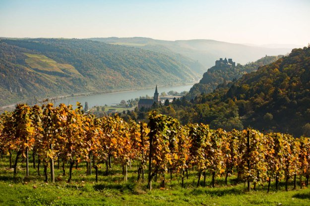 Blick auf das herbstliche Oberwesel | © Henry Tornow