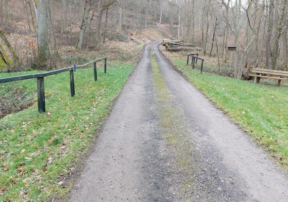 Weg an der Brücke | © T. Biersch