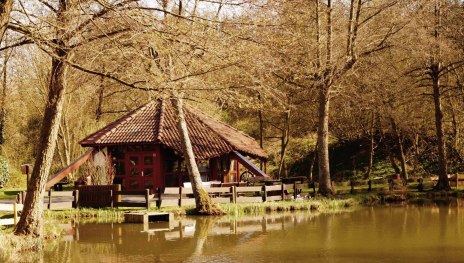 Hütte | © Tourist-Information Erlebnis Rheinbogen