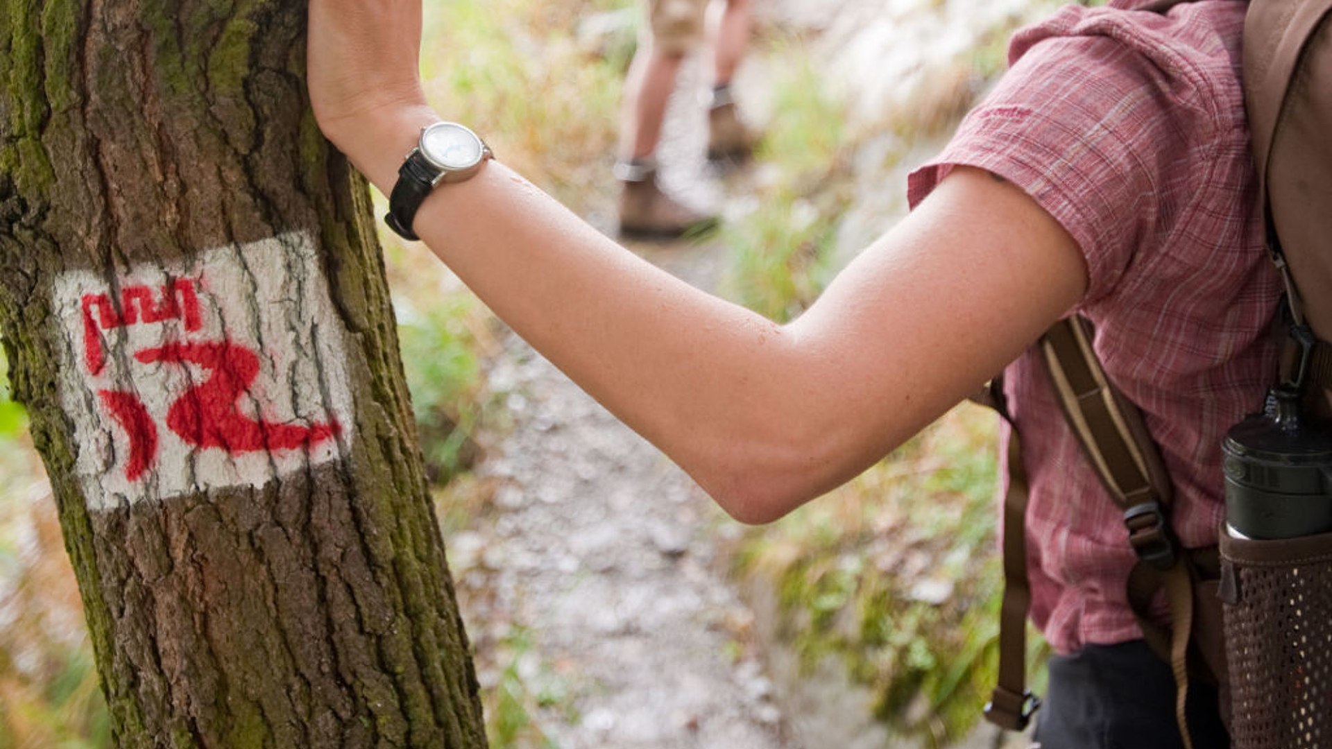 RheinBurgenWeg waymarking | © Dominik Ketz