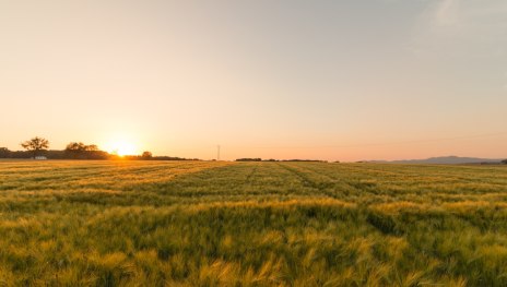 Felder oberhalb von Remagen | © Luca Lamonte-Austin, Romantischer Rhein Tourismus GmbH