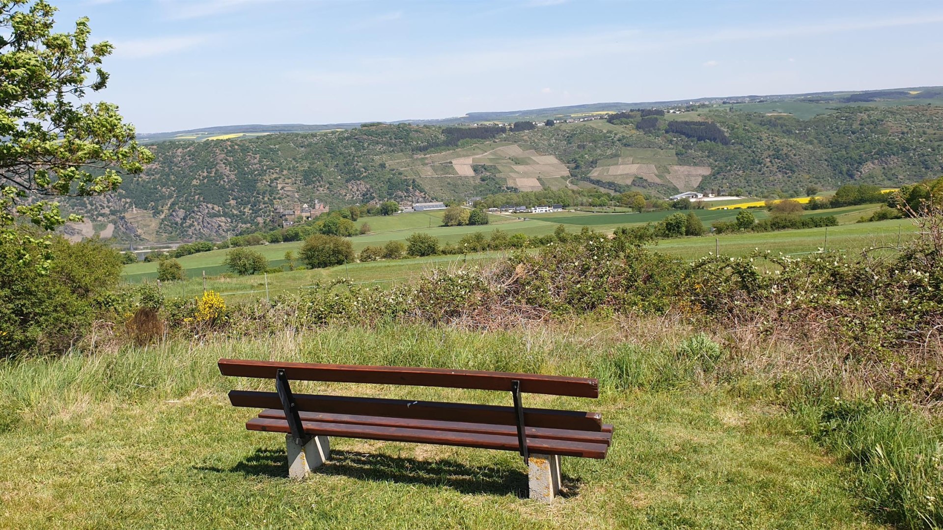 Schönburgblick | © Tourist-Information Oberwesel