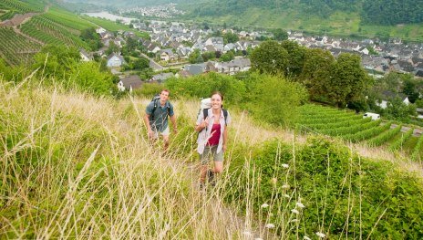 RheinBurgenWeg bei Winningen | © Dominik Ketz, Romantischer Rhein Tourismus GmbH