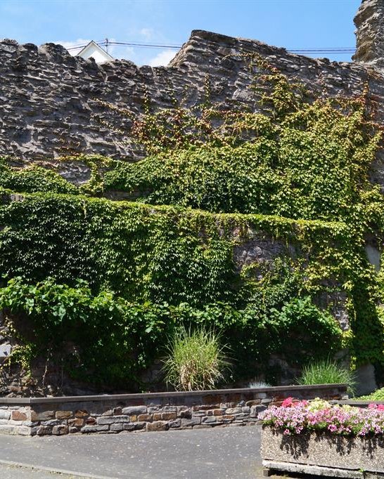 Stadtmauer am Viehtor | © Tourist-Information Erlebnis Rheinbogen