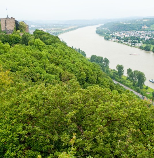 Blick auf Burg Rheineck | © Dominik Ketz/Romantischer Rhein