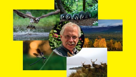 Plakat Naturfotografie | © Initiativkreis "Kultur im Dorf", Brey