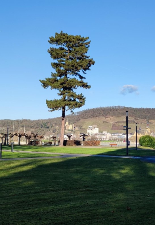 Kurpark Aussicht Bad Hönningen | © Tourist-Information Bad Breisig