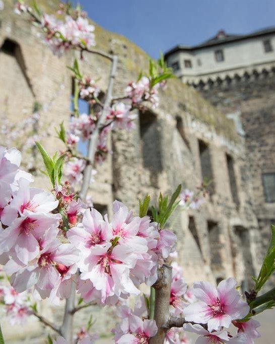 Stadtburg Andernach | © 90 Grad Photography/Hilger & Schneider GbR