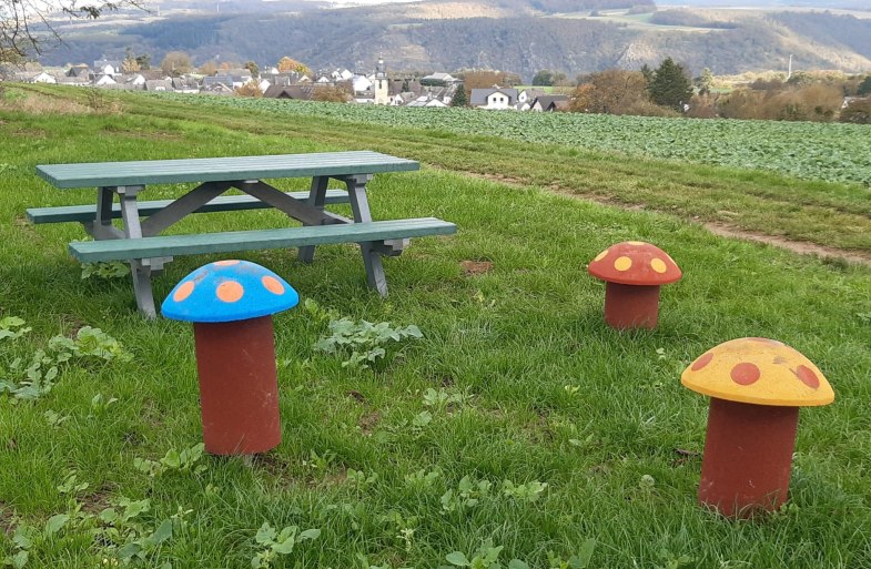 Picknickbank mit Taunusblick | © T. Biersch