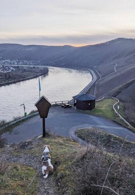 Bopparder Hamm Mandelsteinhütte | © Tourist Information Boppard