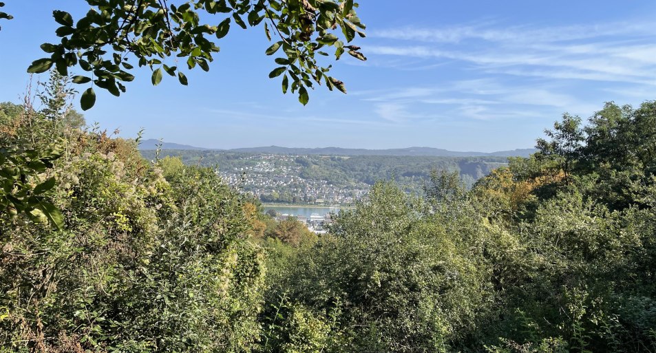 Aussicht von der Grillhütte | © Verena Weyl