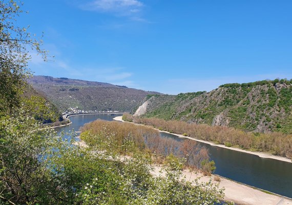 Rheinblick | © T. Biersch