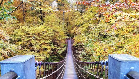 Hängebrücke im Binger Wald | © Romantischer Rhein Tourismus GmbH