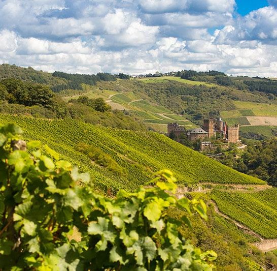 Weingut Lanius-Knab_Engehöller Bernstein_Schönburg | © Lanius-Knab