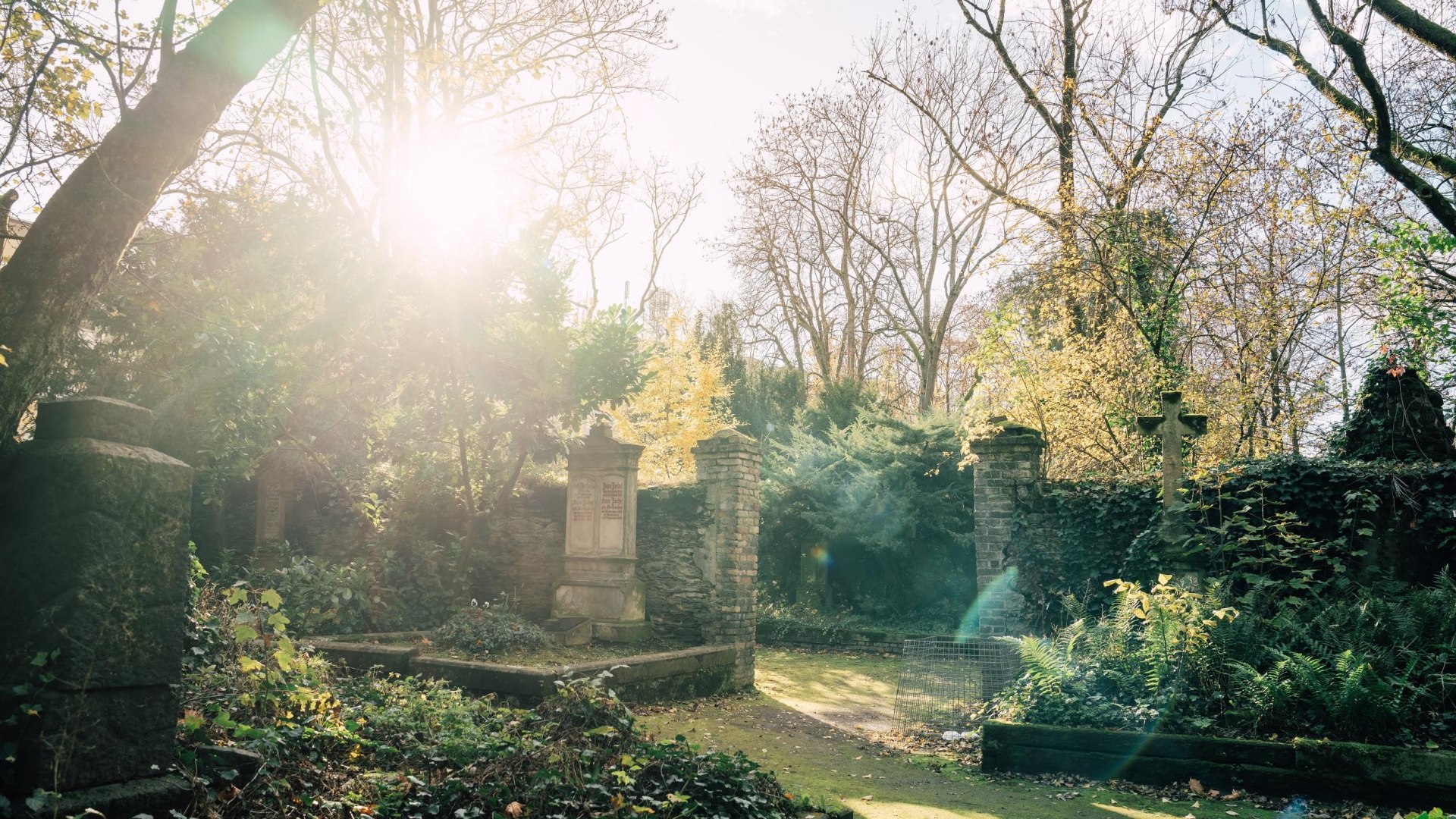 Alter Friedhof | © Zimpfer_Photography