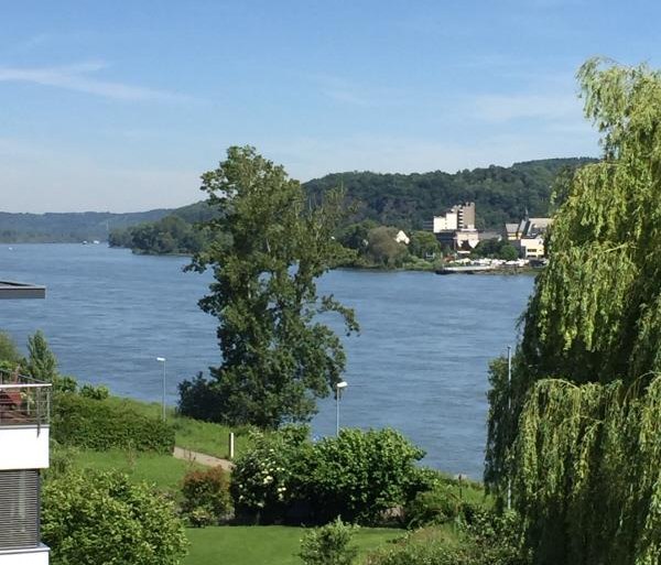 Blick auf den Rhein | © Ferienwohnung Rheinblick am Fähranleger