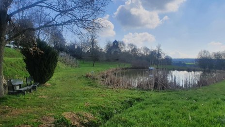 Teich am Simmerbach | © T. Biersch