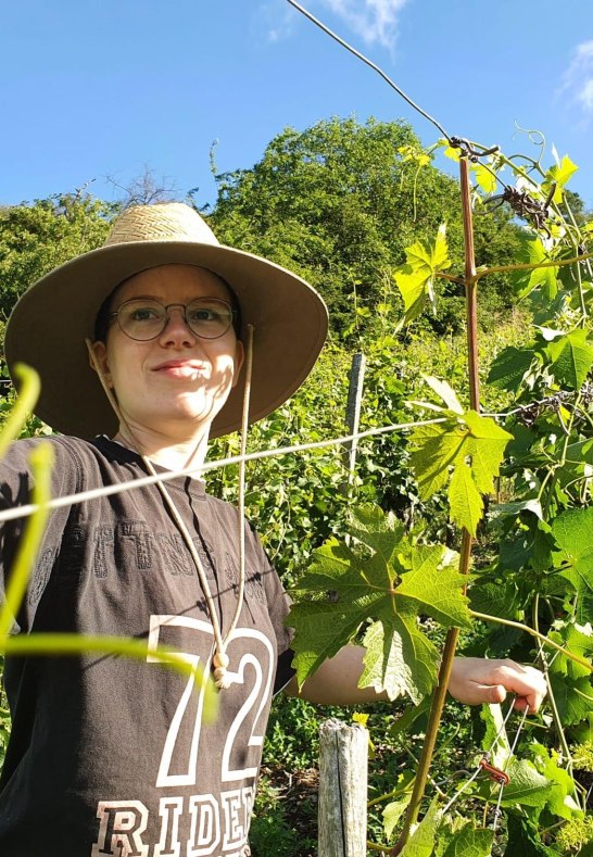 Laubarbeiten im Weingut Volk, Jule Volk | © Weingut Volk