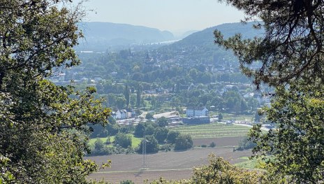 Remagen Rundwanderweg A5 - Panoramaweg | © Tourist-Information Remagen, Romantischer Rhein Tourismus GmbH