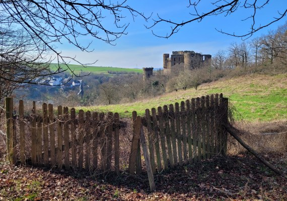 Burg Reichenberg von oben | © Jörg Sauerwein