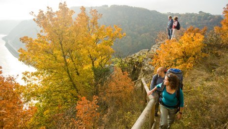 Leiselfeld | © Dominik Ketz, Rheinland-Pfalz Tourismus GmbH