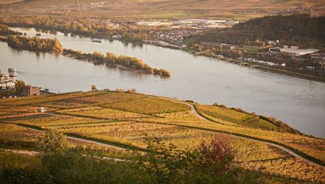 Blick vom Niederwalddenkmal | © Marco Rothbrust, Romantischer Rhein Tourismus GmbH