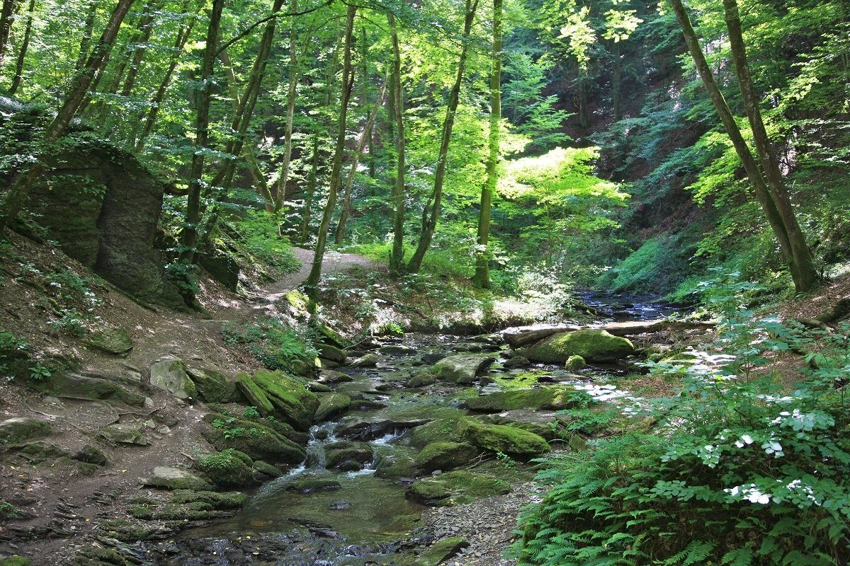 In der Ehrbachklamm | © Stefan Rees