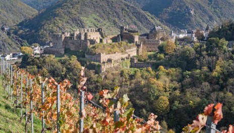 Rheinfels im Herbst | © Andreas Pacek, fototour-deutschland.de