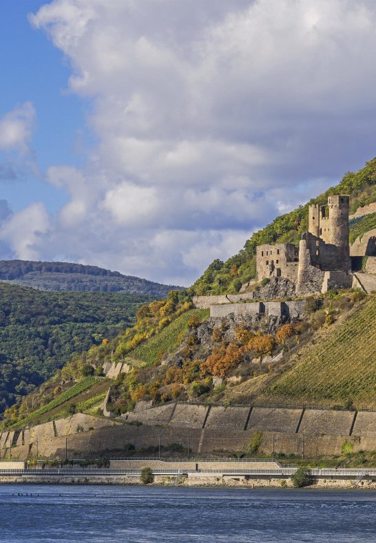 Ehrenfels bei Rüdesheim | © Friedrich Gier/Romantischer Rhein Tourismus GmbH