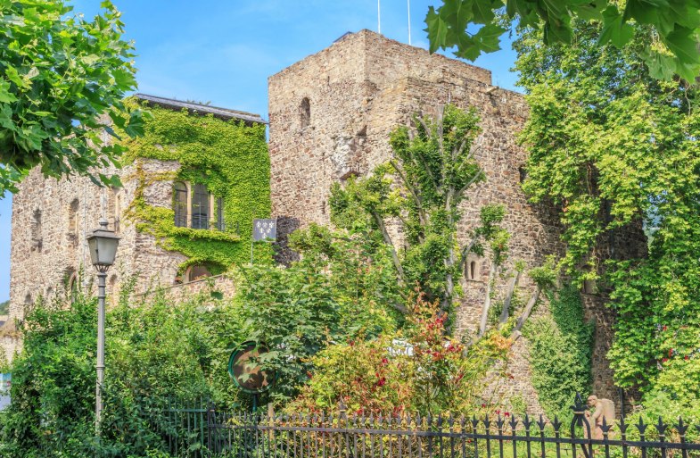 Brömser Castle - Spring | © Marlis Steinmetz