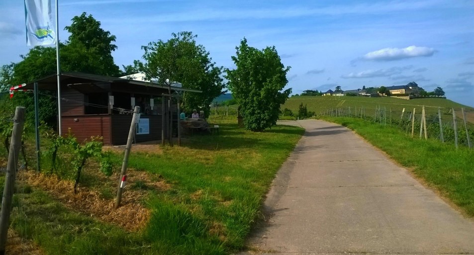 Genuss in den Weinbergen | © Weingut Abteihof St. Nicolaus