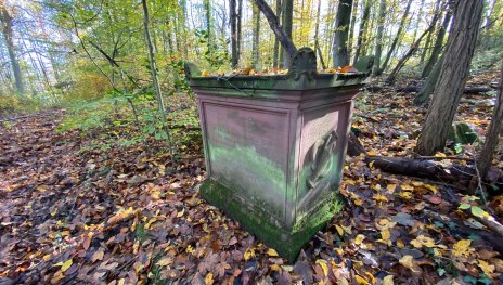 Der Goethestein im Wald oberhalb von Rolandseck. | © Tourist-Information Remagen, Romantischer Rhein Tourismus GmbH