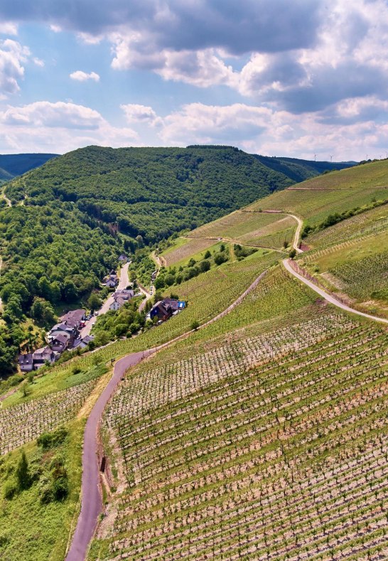 Engehoeller_Goldemund_Oberwesel_Lanius-Knab_Weinpr | © Lanius-Knab