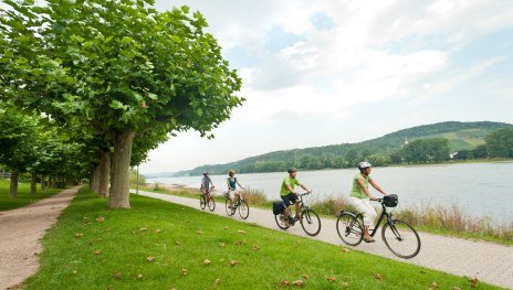 Rheinradweg bei Bad Breisig | © Tourist-Info Bad Breisig, Romantischer Rhein Tourismus GmbH