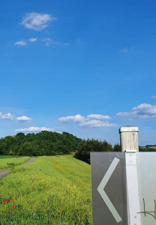 Hof.Hardthöhe.Frühling.Zufahrt | © Tourist-Information Oberwesel