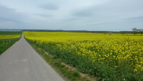 Urbach-Runde, Variante A | © Wanderfreunde Weisel, Romantischer Rhein Tourismus GmbH