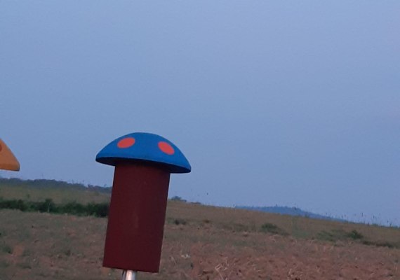 Wernlauer Pilzjen bei Vollmond | © T. Biersch