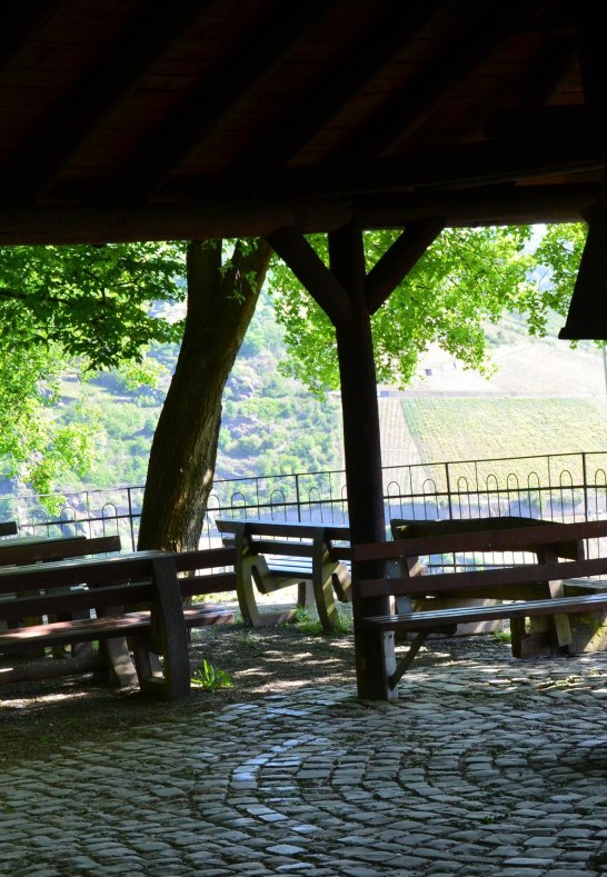 Sauzahn 3 | © Tourist-Information Oberwesel