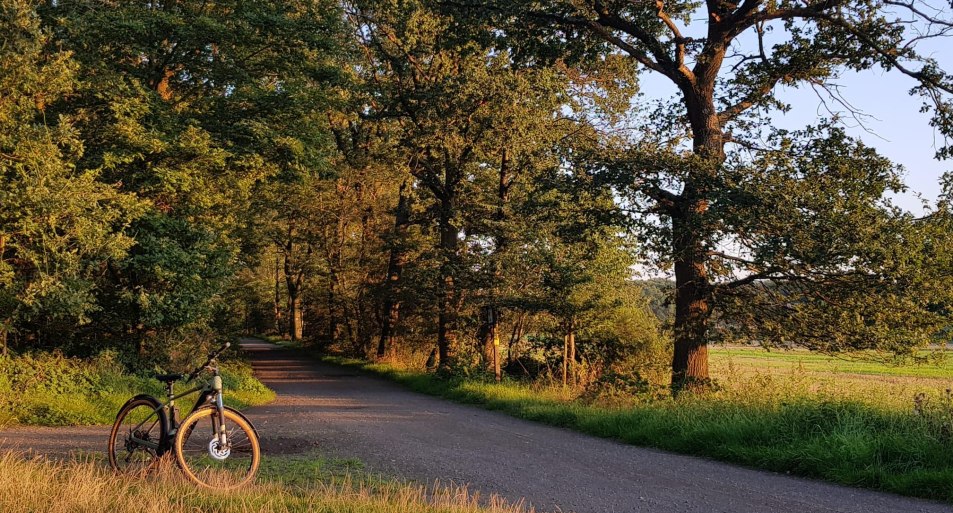 Radfahren auf der Mönchsheide | © Tourist-Information Bad Breisig